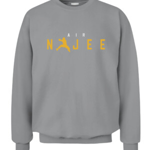 AIR NAJEE SHIRT NAJEE HARRIS Pittsburgh Steelers CACS sport grey front.jpg