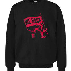 Raptors We Back T Shirt Toronto Raptors CACS black front.jpg