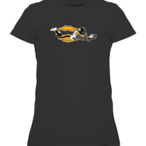 NH SUPERMAN SHIRT Najee Harris SUPERMAN Pittsburgh Steelers CAWTS black front.jpg