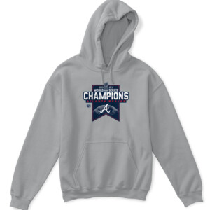 Atlanta Braves 2021 World Series Champions T Shirt APKH sport grey front.jpg