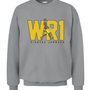 WR1 SHIRT DIONTAE JOHNSON ittsburgh Steelers CACS sport grey front.jpg