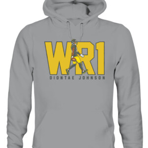 WR1 SHIRT DIONTAE JOHNSON ittsburgh Steelers CAUH sport grey front.jpg