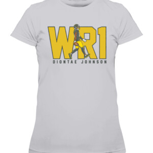 WR1 SHIRT DIONTAE JOHNSON ittsburgh Steelers CAWTS heather grey front.jpg