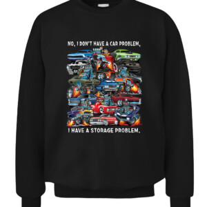 I Dont Have a Car Problem I Have a Storage Problem Cartoon T Shirt CACS black front.jpg