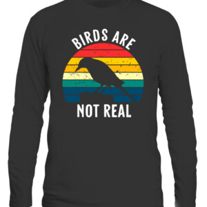 Birds Are Not Real Retro Vintage Conspiracy Theory T Shirt CALS black front.jpg