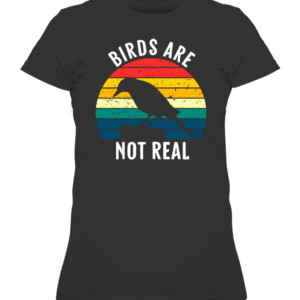 Birds Are Not Real Retro Vintage Conspiracy Theory T Shirt CAWTS black front.jpg