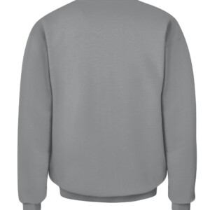 14ea5ded2d929b532539a182e6a2e44 CACS sport grey back.jpg