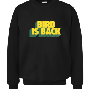 BIRD IS BACK SHIRT Sue Bird Seattle Storm CACS black front.jpg