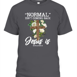 33770fdd563507411fb5e66c4374739 CABT dark heather front.jpg