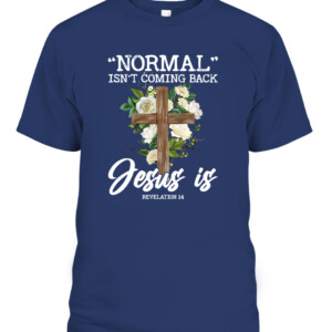 33770fdd563507411fb5e66c4374739 CABT navy front.jpg