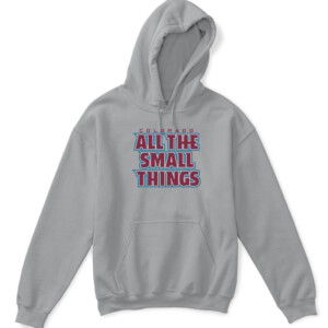 6e45fALL THE SMALL THINGS SHIRT Colorado Avalanche6ddc17dda026287b14a941f4f0 APKH sport grey front.jpg