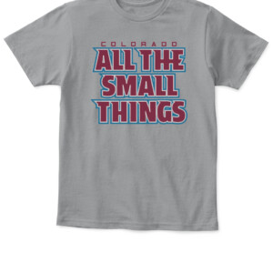 ALL THE SMALL THINGS SHIRT Colorado Avalanche APKT sport grey front.jpg