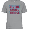 ALL THE SMALL THINGS SHIRT Colorado Avalanche CABT sport grey front.jpg