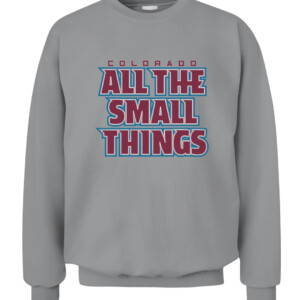 ALL THE SMALL THINGS SHIRT Colorado Avalanche CACS sport grey front.jpg