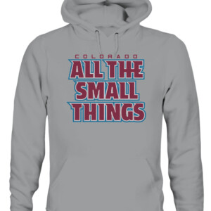 ALL THE SMALL THINGS SHIRT Colorado Avalanche CAUH sport grey front.jpg