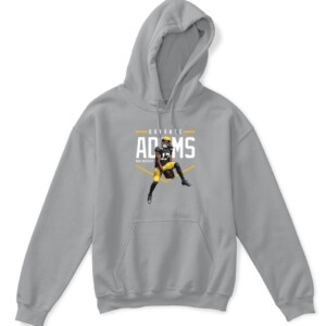 Green Bay Jumpman Shirt Davante Adams Green Bay Packers APKH sport grey front.jpg