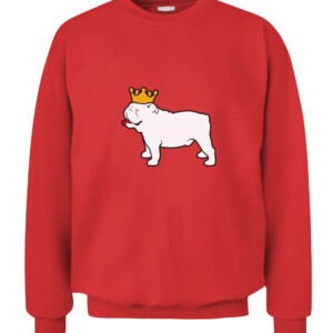 DAWG KING SHIRT Uga Georgia Bulldogs College Football Playoff 2021 National Champions CACS red front.jpg