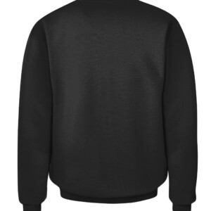 e8ef1c199381dfe347310864cefefe CACS black back.jpg