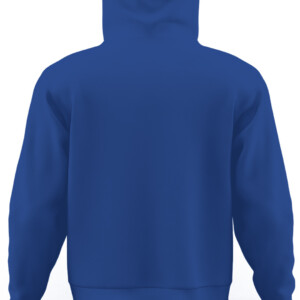 e8ef1c199381dfe347310864cefefe CAUH royal back.jpg