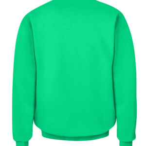 ee9846f26ca521a8633bbc94e8c82e0 CACS irish green back.jpg