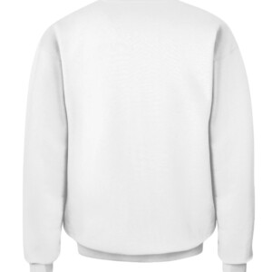 fdf4a63785c2e6a16a8d98aea2f6ef1 CACS white back.jpg