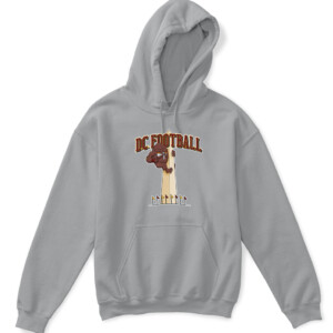 DC FOOTBALL SHIRT Washington Commanders Redskins APKH sport grey front.jpg