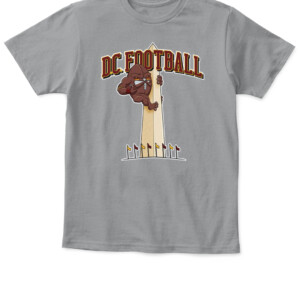 DC FOOTBALL SHIRT Washington Commanders Redskins APKT sport grey front.jpg