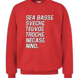 SEA BASS & SVECH & TEUVO & TROCH & NECAS & NINO SHIRT Sebastian Aho, Andrei Svechnikov, Teuvo Teravainen, Vincent Trocheck, Martin Necas, & Nino Niederreiter, Carolina Hurricanes CACS red front.jpg