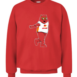 2pm18p76v9t18r946g3d1sge4v CACS red front.jpg