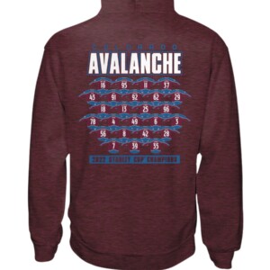 Champions Jersey Roster Shirt Colorado Avalanche 2022 Stanley Cup Champions Hoddie 1