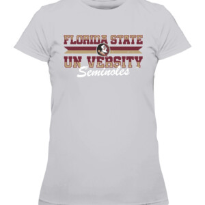 2qv1ntsbm5glj8jrss1hvnb9dn CAWTS heather grey front.jpg