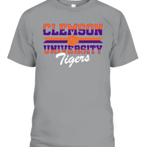 4a6ubdhendkjo4kkv0skiqf2ii CAPT sport grey front.jpg