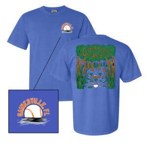 GAINESVILLE FLORIDA SHIRT Florida Basketball, Florida Gators