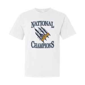 Q HOCKEY CHAMPIONS 2023 SHIRT 2023 NCAA Men's Ice Hockey National Champions