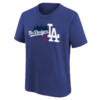 Los Angeles Dodgers City Connect Shirt