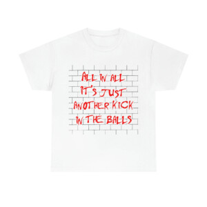 All In All It's Just Another Kick In The Balls Shirt