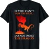 Cool Dragon Flame Spewing Flying Mythical Creature T Shirt