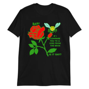 Baby, If I Compare You To A Kiss From The Bros, Is It Gay Shirt