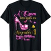 A Queen Was Born on November 1, 1st November Birthday Outfit T Shirt