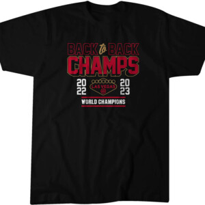 BACK TO BACK CHAMPS 2022 2023 WORLD CHAMPIONS SHIRT 2023 WNBA CHAMPIONS, Las Vegas Aces
