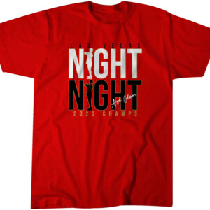 NIGHT NIGHT SHIRT Sydney Colson, 2023 WNBA FINALS CHAMPIONS ROSTER, Las Vegas Aces