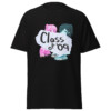 Class of '09 Shirt Color Girl, Rejection Simulators