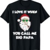 I Love it When You Call Me Big Papa Ugly Christmas Shirt