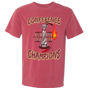 FS CONFERENCE CHAMPS SHIRT Florida State Seminoles 2023 ACC Football Conference Champions