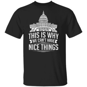 This Is Why We Can't Have Nice Things Shirt Funny Govement, US Congress