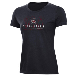 38 0 PERFECTION SHIRT 2024 NCAA Women's Basketball National Champions, South Carolina Gamecocks