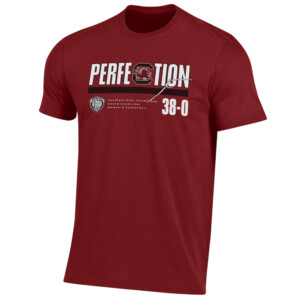 PERFECTION SHIRT 2024 NCAA Women's Basketball National Champions, South Carolina Gamecocks