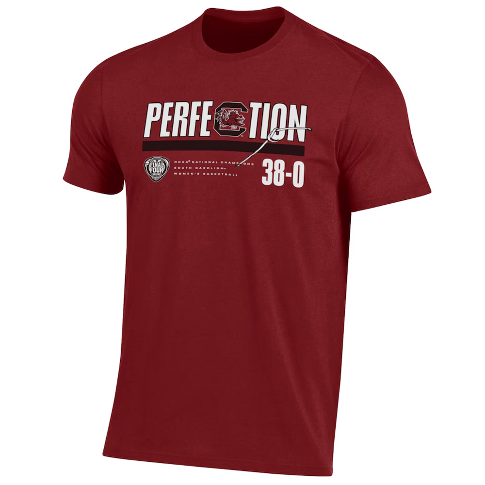 PERFECTION SHIRT 2024 NCAA Women's Basketball National Champions, South Carolina Gamecocks PERFECTION SHIRT 2024 NCAA Women's Basketball National Champions, South Carolina Gamecocks