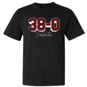SC PERFECTION SHIRT 2024 NCAA Women's Basketball National Champions, South Carolina Gamecocks