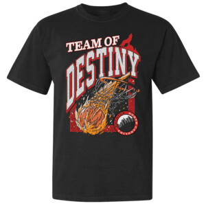 TEAM OF DESTINY SHIRT 2024 NCAA Men's & Women's Basketball Championship, NC State Wolfpack